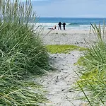 Lofoten Escape